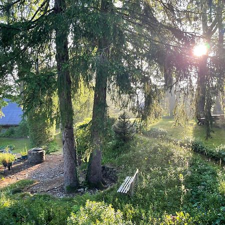 קלאוסטל-צלרפלד Liebevoll Eingerichtetes Ferienhaus Mit Grossem Garten מראה חיצוני תמונה