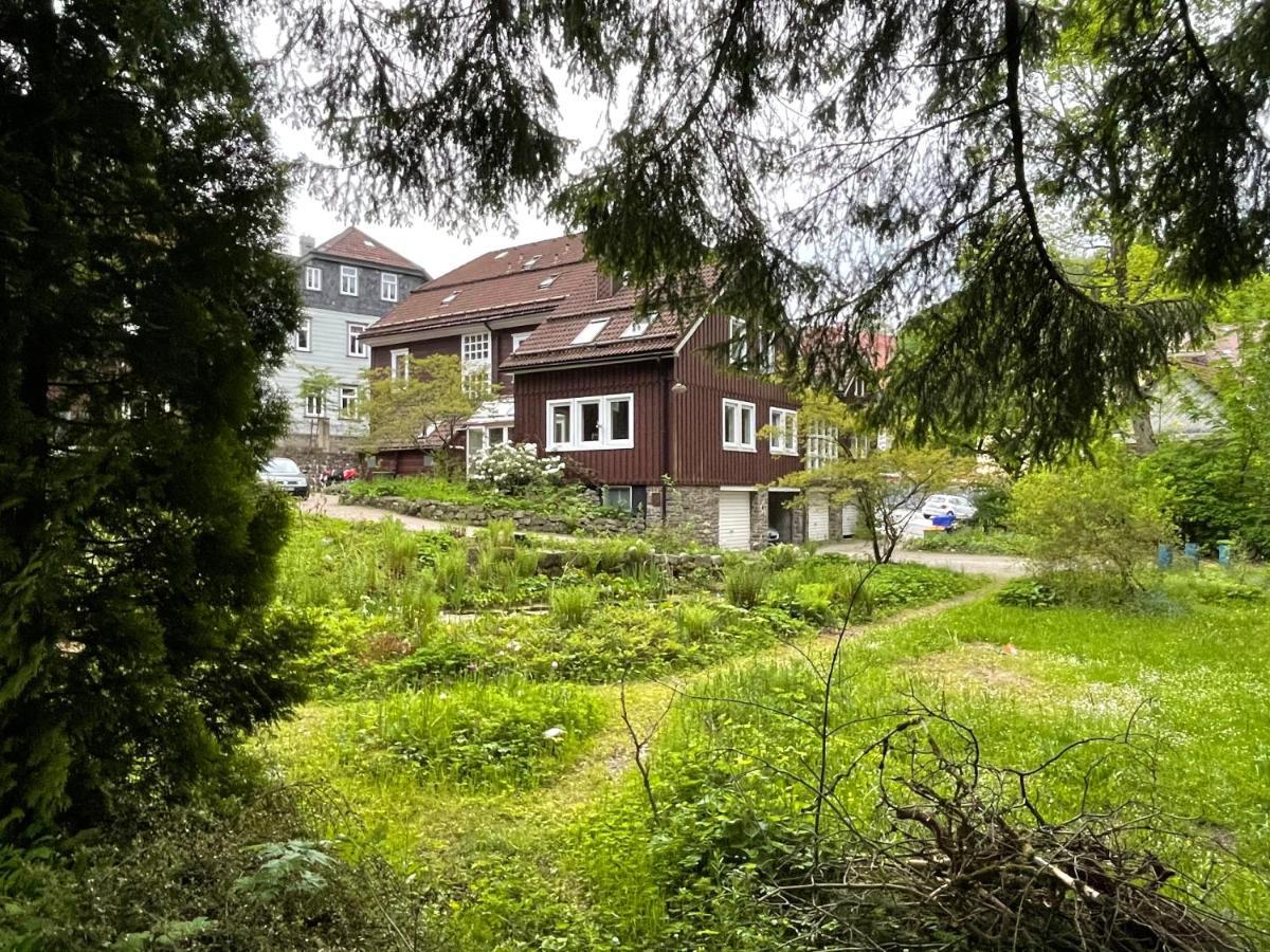 קלאוסטל-צלרפלד Liebevoll Eingerichtetes Ferienhaus Mit Grossem Garten מראה חיצוני תמונה