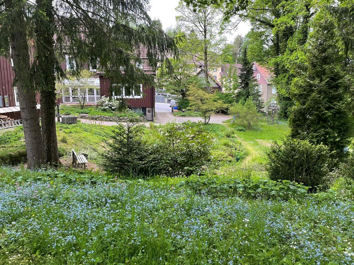 קלאוסטל-צלרפלד Liebevoll Eingerichtetes Ferienhaus Mit Grossem Garten מראה חיצוני תמונה
