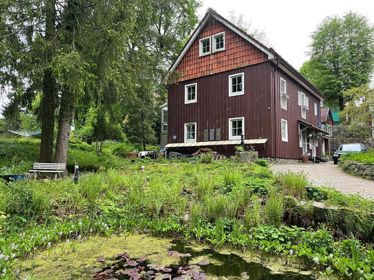קלאוסטל-צלרפלד Liebevoll Eingerichtetes Ferienhaus Mit Grossem Garten מראה חיצוני תמונה