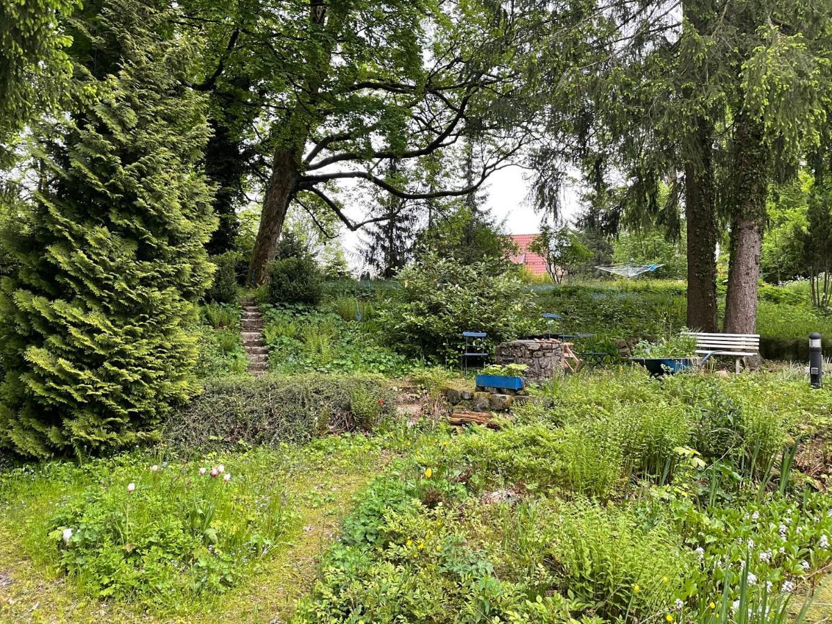 קלאוסטל-צלרפלד Liebevoll Eingerichtetes Ferienhaus Mit Grossem Garten מראה חיצוני תמונה