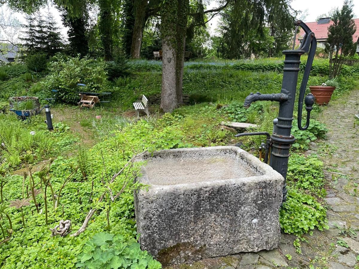 קלאוסטל-צלרפלד Liebevoll Eingerichtetes Ferienhaus Mit Grossem Garten מראה חיצוני תמונה
