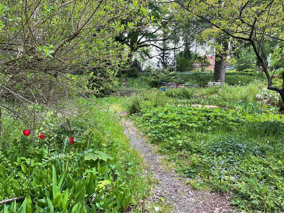 קלאוסטל-צלרפלד Liebevoll Eingerichtetes Ferienhaus Mit Grossem Garten מראה חיצוני תמונה