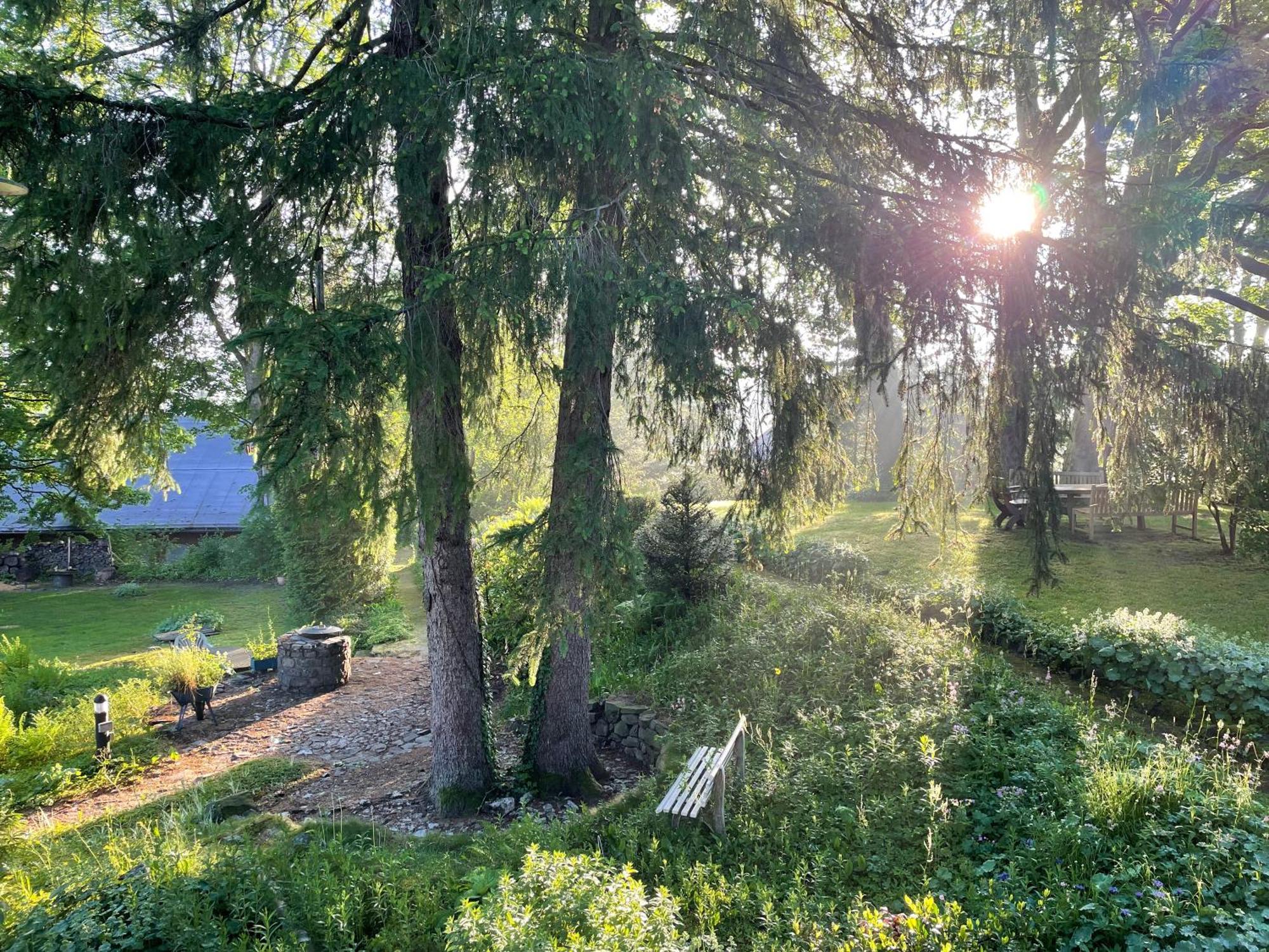 קלאוסטל-צלרפלד Liebevoll Eingerichtetes Ferienhaus Mit Grossem Garten מראה חיצוני תמונה